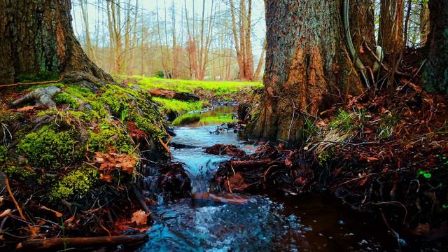 2011970b9d6d4e2b8949679830e19dc1