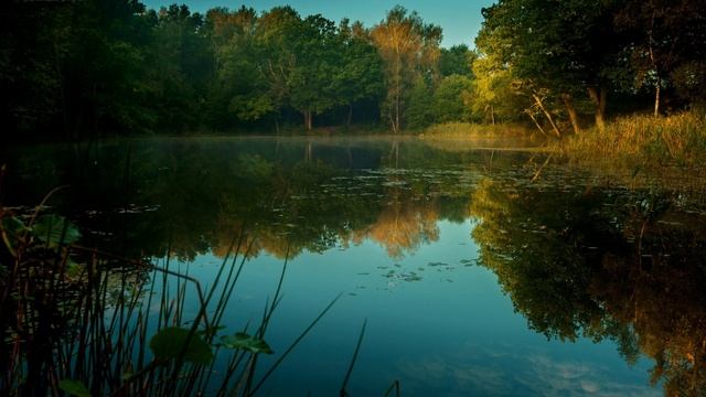 4dbf28efeffebc8b60a38b83434f91d6