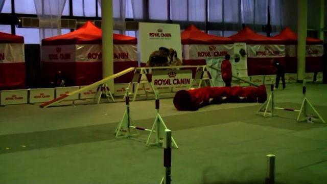 Лера и Рамзес. Ленэкспо. 26 ноября 2011 год.
