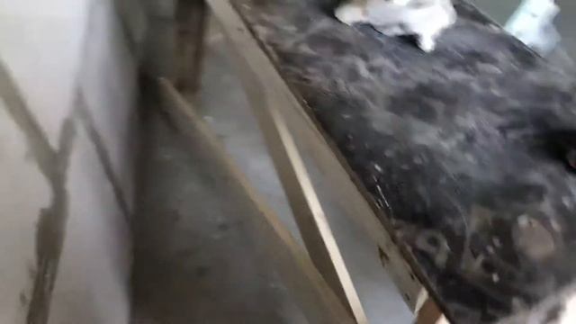 D0275ad5602bcfbb35bab42c6c64179a