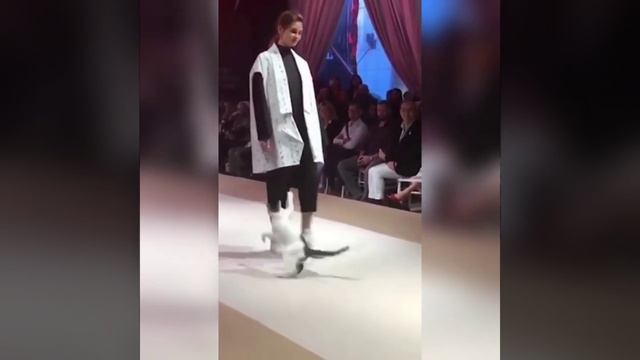 Проблемы с водоснабжением ведет к появлению блох