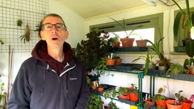 RARE Houseplants You're MISSING OUT On! ? BEGONIAS To Make You DROOL