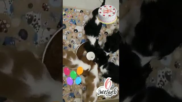 9f3ff05b02a6f8533cb7d11608ecf551