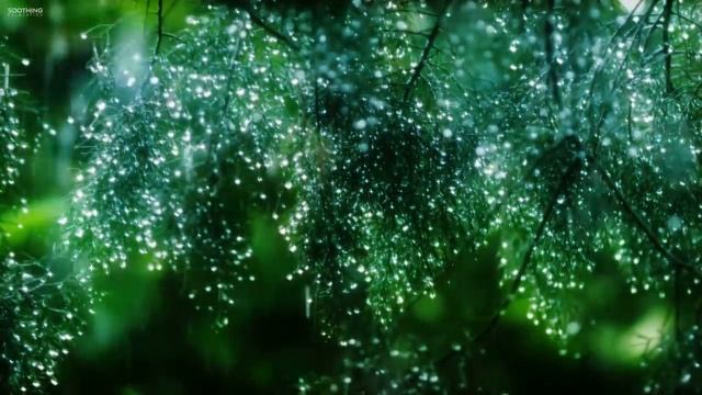 Пианино. Тихий шум дождя погружает в сладкий сон.