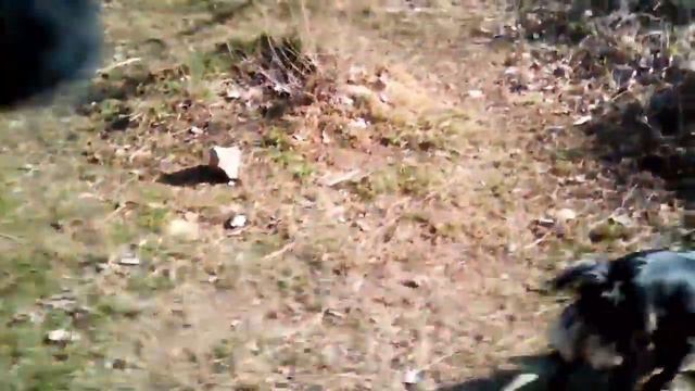 Fa77cebc00a6272cb9b13911fd95b2a3