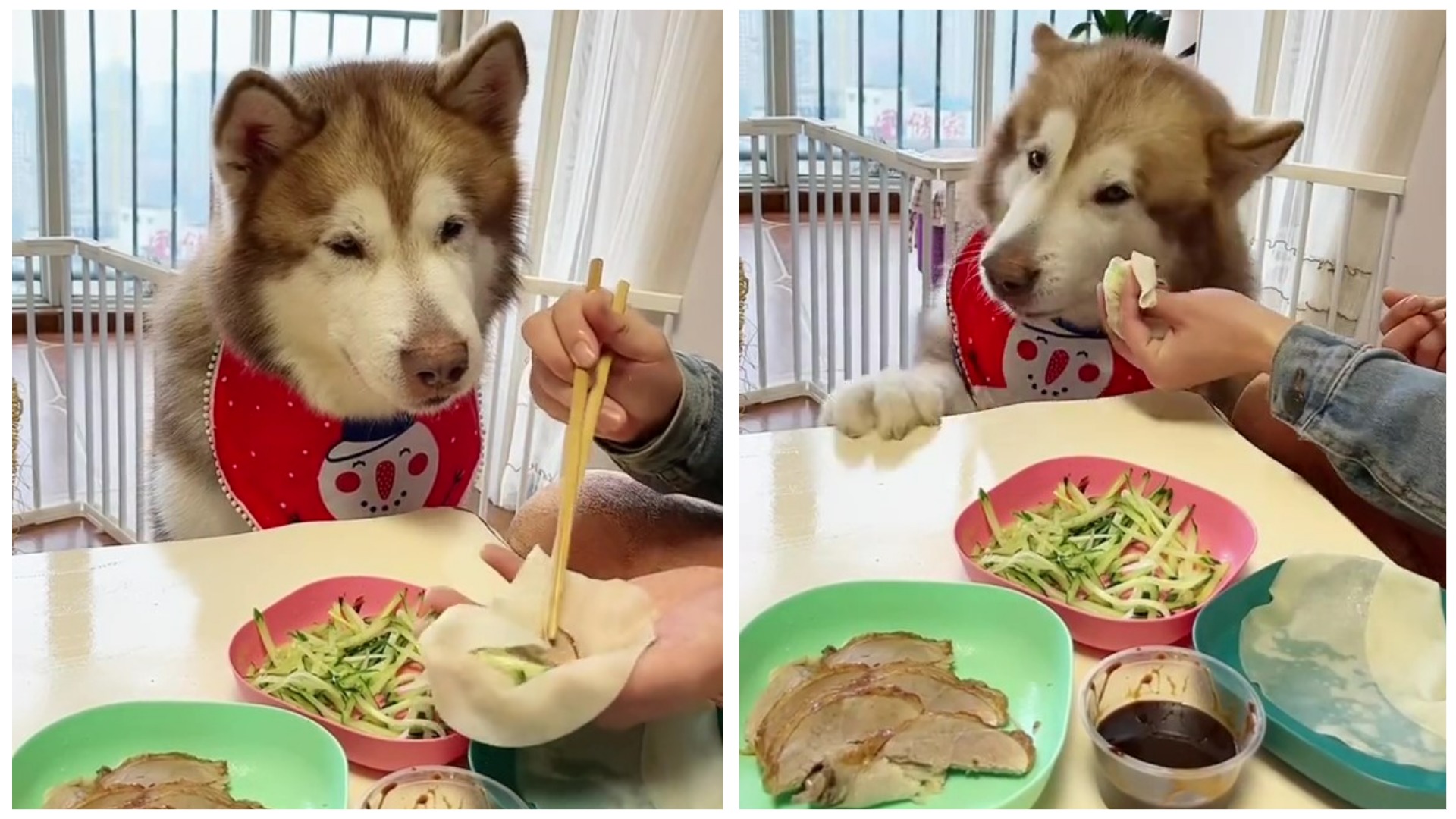 F49fb0b7365d20c4b55790807a09e8cb