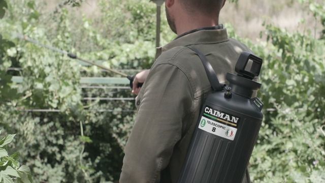 Опрыскиватель ручной Caiman Telescopic 8