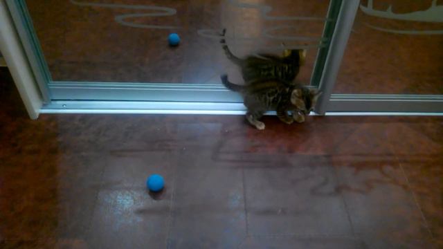 74f69acd05a2871e58c8acc6e4330aa0