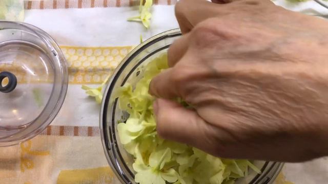 Pesto Spalmabile Di Primula Vulgaris