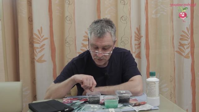 Как замачивать семена перед посадкой? #urozhainye_gryadki