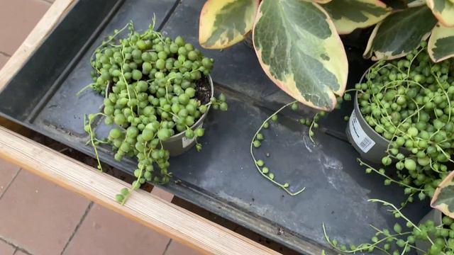 JARDILAND VILLENAVE AOÛT 2022