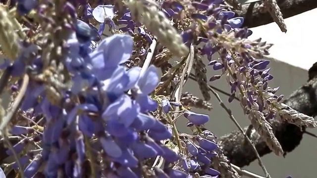 B36d97c72041a1af9033f66992d34b00