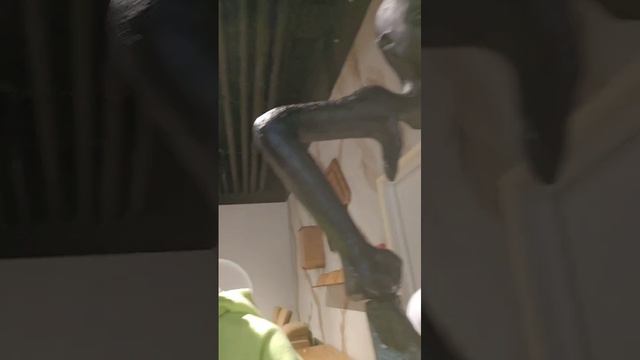 что можно делать в закрытом ТЦ