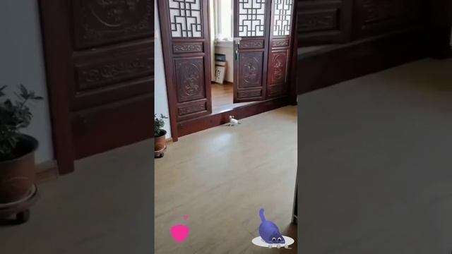 Ну очень высокий порожек