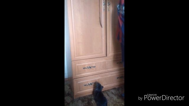 Прыгнул и свернул шею