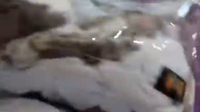 Что  я возьму с собой на лето , или собираю портфель в деревню