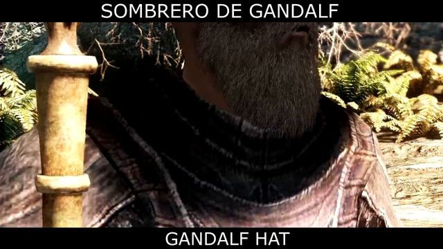 Animacion Con Staff Y Sombrero De Gandalf - Skyrim Mods