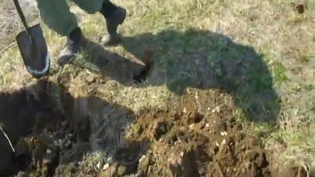 Металлоискатели,ищем клад.Серебро и немного монет..wmv