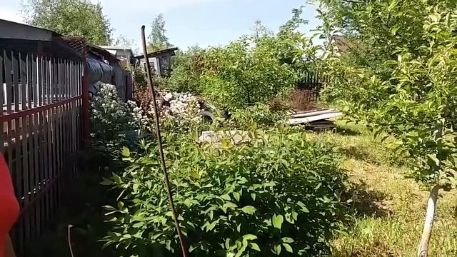 Дача. Готовимся сажать сладкий перец...