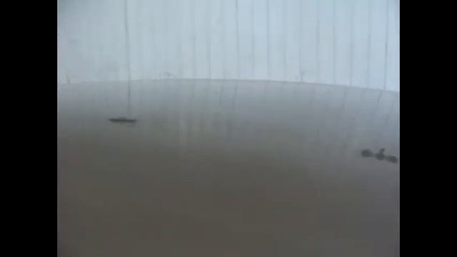 Ремонтная квартира: твори у себя дома