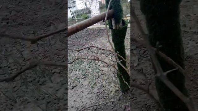 15910ed6ec2f2f4756f89d567a671b03