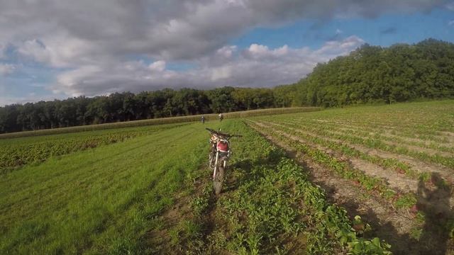 Enduro is life // Ktm sx 65.85.125//Honda cr 80//Pit bike//fails