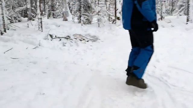 Тестируем мотобуксировщик ИКУДЗО 2.0 ЕКР 20 на крутом подъёме а также проверим тягу.