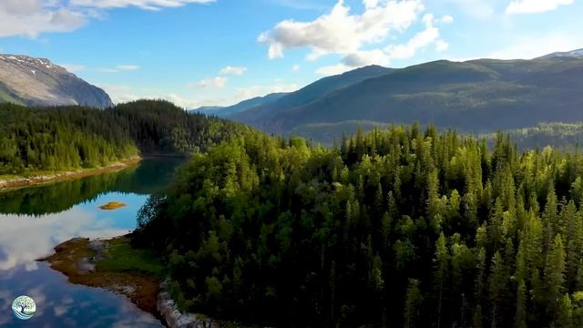 Relaxing Music That Heals Stress, Anxiety And Depressive Conditions - Music To Sleep, Soul And Body