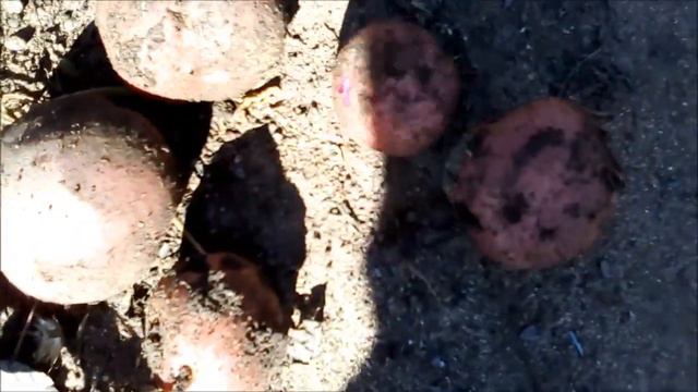 597f246e6a1c346ce53af7bcf6a491d1