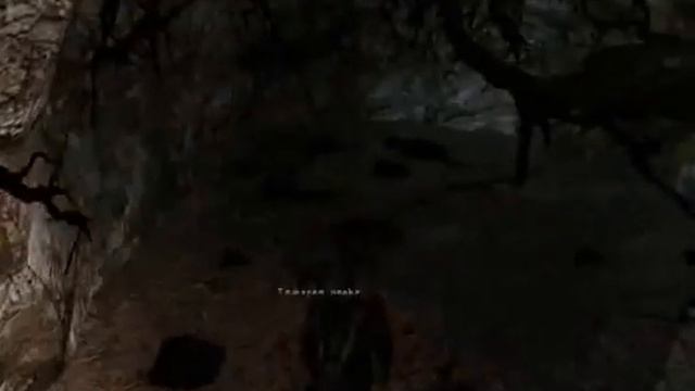 8544d115faf884144ed0abe38438ec19