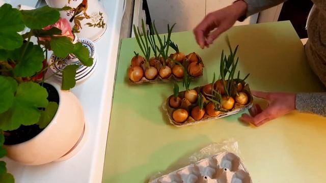 65f26c1c4132e0159b473cc781e66fd9