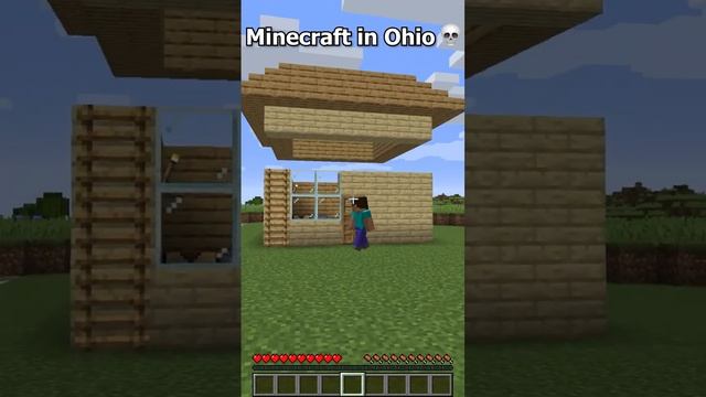 Can't Even Play Minecraft In Ohio ?(part 8) #shorts #minecraft #ohio