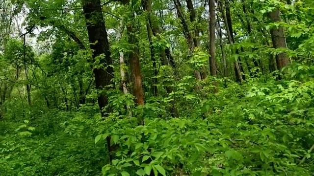 Saveliy Ad  ОБОSP\Л ДИЗАЙНЕРА ВОВУ. КРОВАТИ ДЛЯ ИРЫ И ГЕНЫ В СТАЛИНКЕ