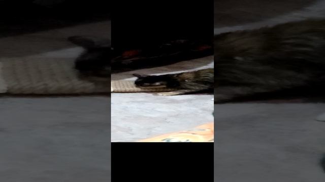 A0d7e95f01077b42c23588d938fce999