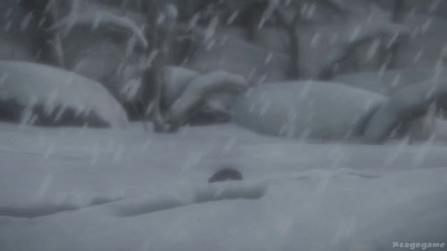 D87309e12d5fa36a6d9bf59eca8cfaab