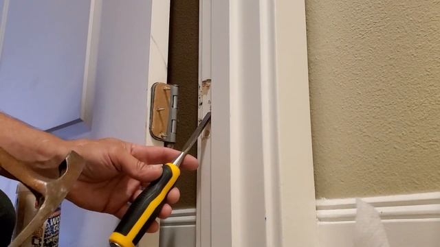 Уборка и забота о красоте пространства