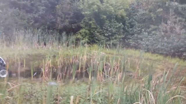 Yamaha Raptor 700R в болото полез