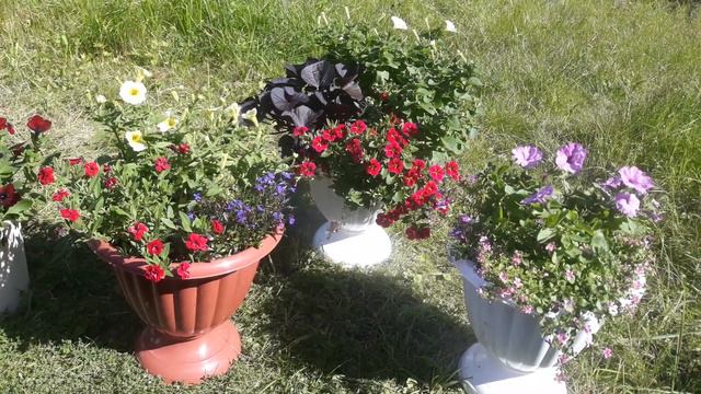 НАСЛАЖДАЮСЬ ПОСЛЕДНИМИ ДЕНЬКАМИ ОТПУСКА🌺