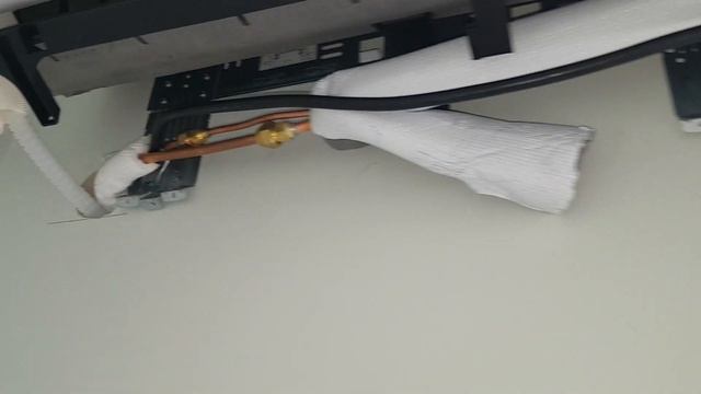 3b77317250c65754c47edb9684673476