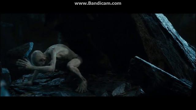 Собаки в разных уровнях энергии