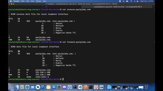 Setting Up A DNS Server | Bind9 & Docker