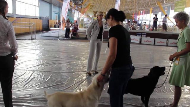 Выставка МАГНИТОГОРСК 23.06.12