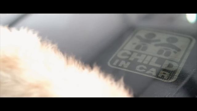 DETAILING GODZILLA | Nissan Skyline R34 GTR