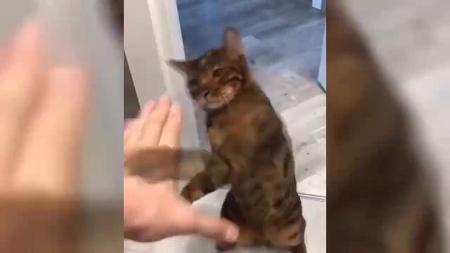 B16395bec67ae538713f5ce2e860ba21