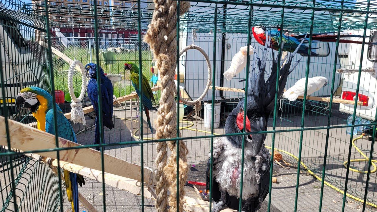 C377fae017bfcee15d971484340fb3dc