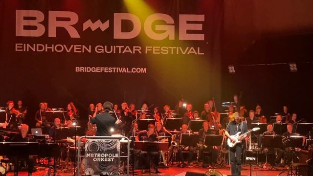 Salamanders In The Sun - Steve Vai & Metropole Orkest Track 3