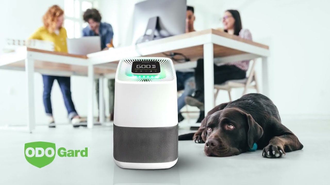 New PureAir Active HEPA+ With ODOGard® - English And Russian Subtitles
