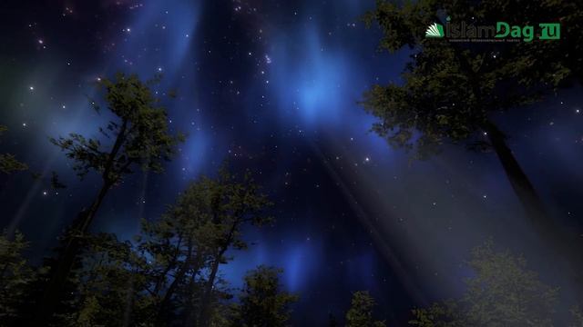 114077e5c4568e64037c466c9ed0e5d8