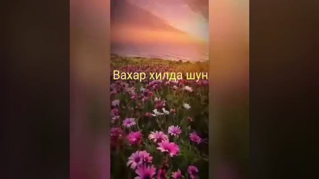 Лакия. Лакская песня. Лак. Народы Дагестана. Лакку балай. Лакку маз. Лакку билаят.