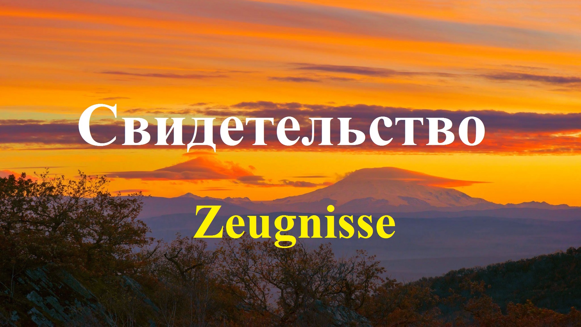 570ab269a05bfc6404a29bef944183f7